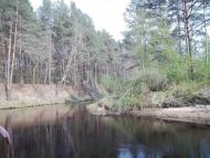 Лопатичі з panoramio.com