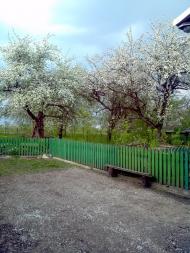 Велика Калинка - Останні фото