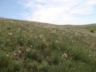 Красне з panoramio.com