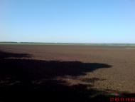 Асланово - Последние фото