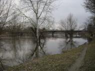 Білики з panoramio.com