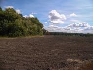 Рогачі з panoramio.com