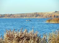 Новий Яр з panoramio.com