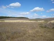 Строгонівка з panoramio.com