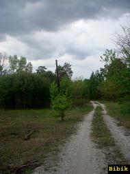 Губин з panoramio.com