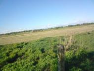 Мирогоща Перша з panoramio.com