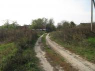 Дадакалівка з panoramio.com