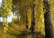 Чепиліївка з panoramio.com