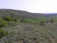 Челюскінець з panoramio.com