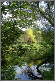 Городище з panoramio.com