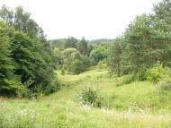 Карпи з panoramio.com