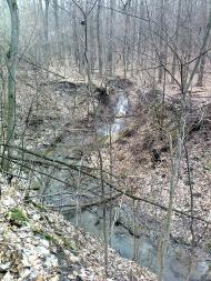 Тарасівка - Останні фото