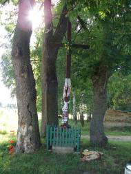 Максимівка з panoramio.com