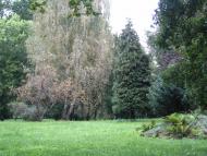Соловка з panoramio.com - Solovka