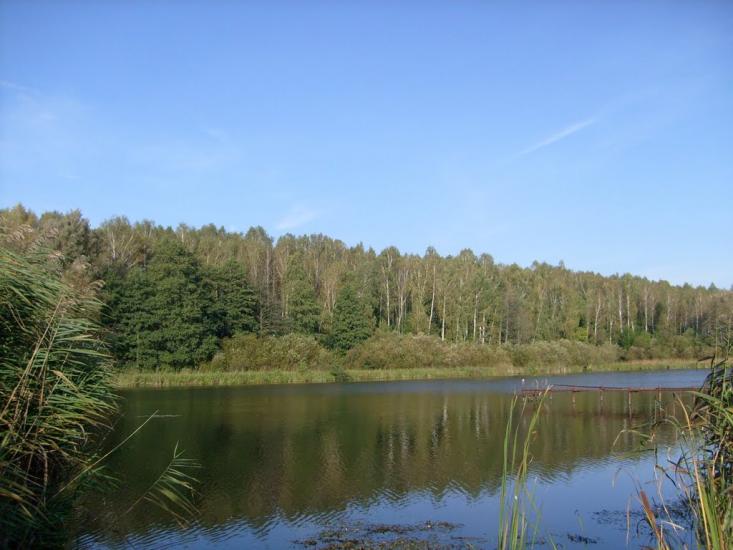 Браїлів з panoramio.com - Браилов