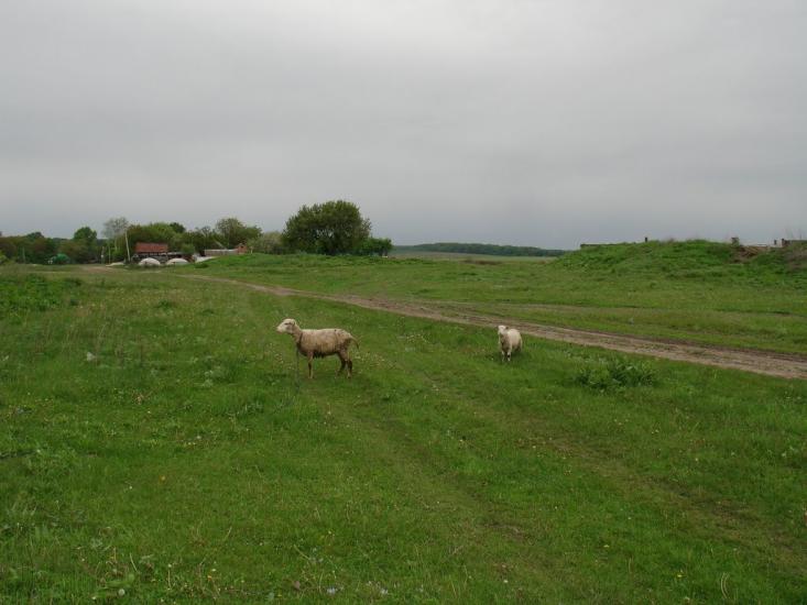 Глинське з panoramio.com - Глинське