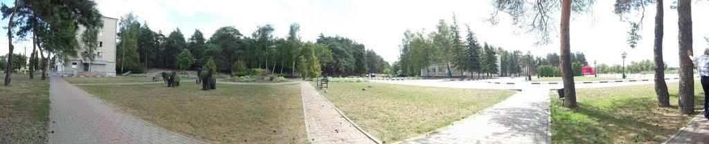 Плетенівка з panoramio.com - Плетеновка
