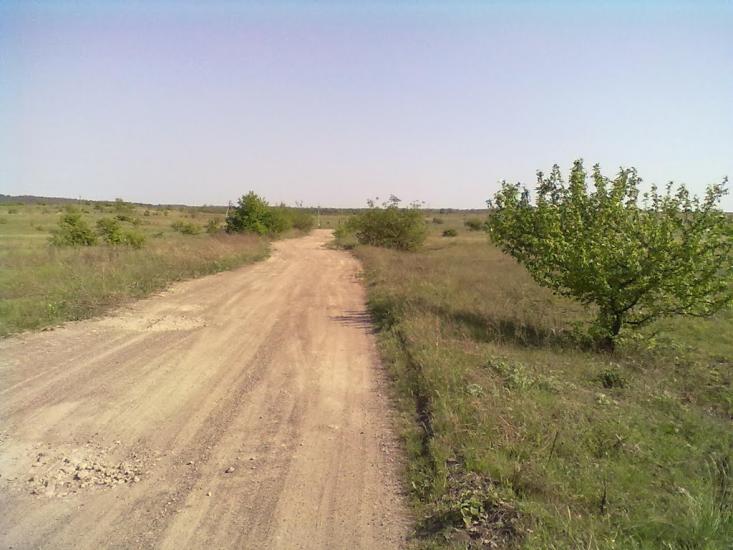 Пискунівка з panoramio.com - Пискуновка