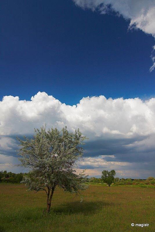 Малинівка з panoramio.com - Malynivka