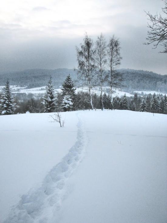 Боберка з panoramio.com - Боберка