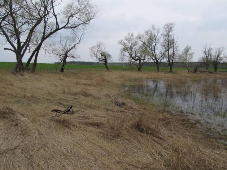 Шабалинів з panoramio.com - Shabalyniv