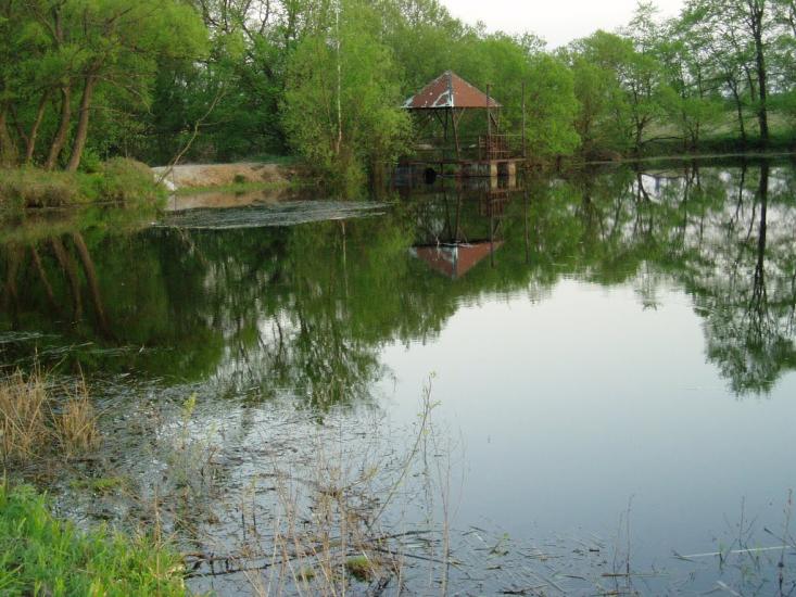 Ігнатпіль з panoramio.com - Игнатполь