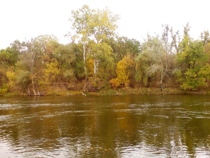 Нижнє з panoramio.com - Nyzhnye