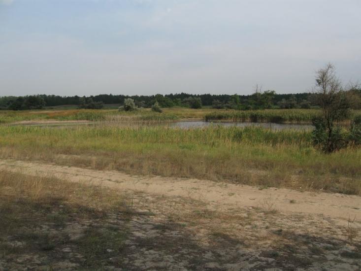 Раденськ з panoramio.com - Radensk