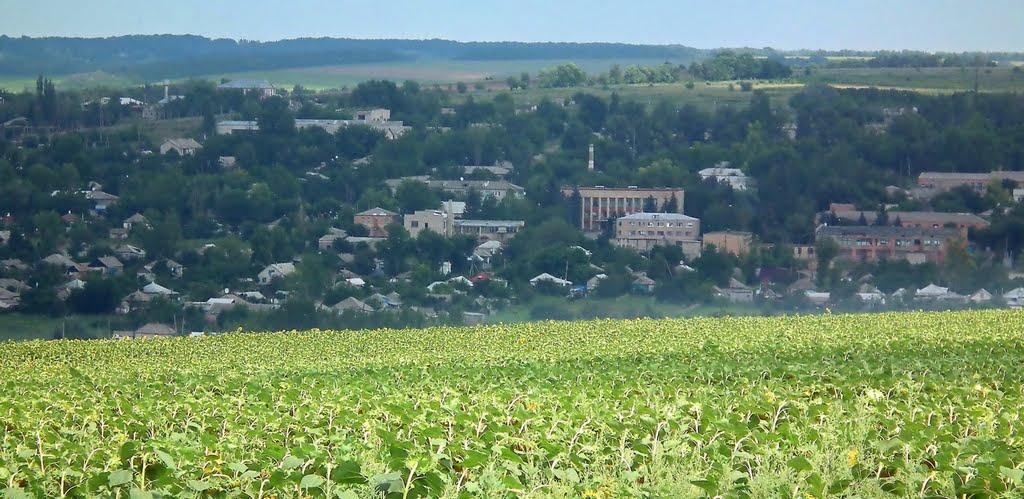 Марківка з panoramio.com - Марківка