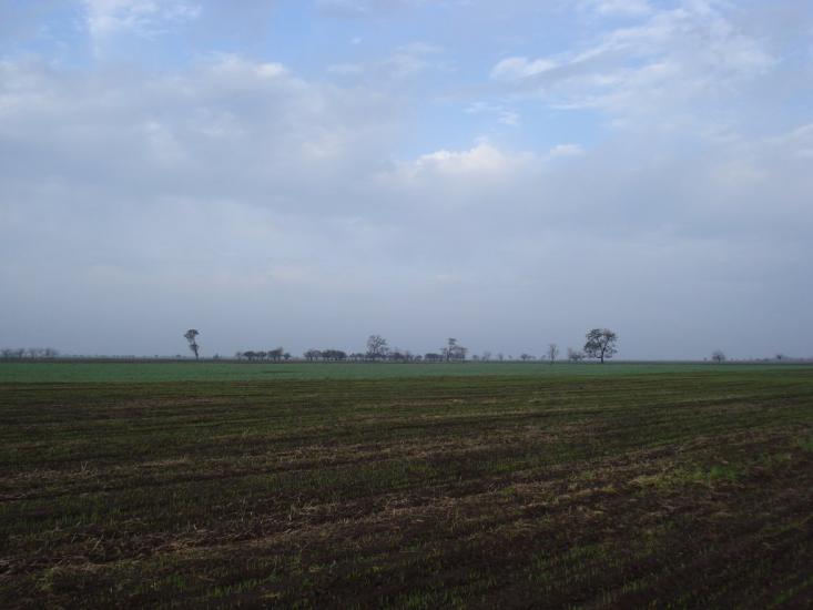 Приморське з panoramio.com - Приморское