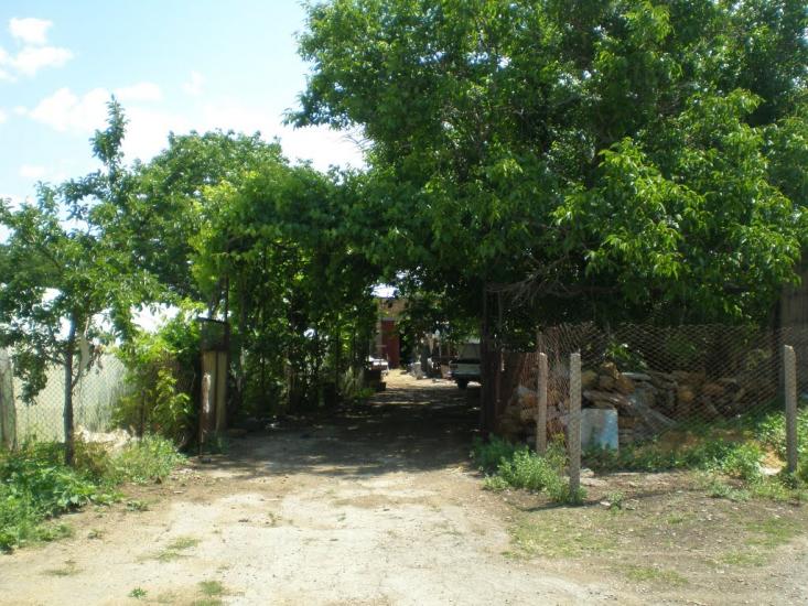 Шовковичне з panoramio.com - Шовковичне