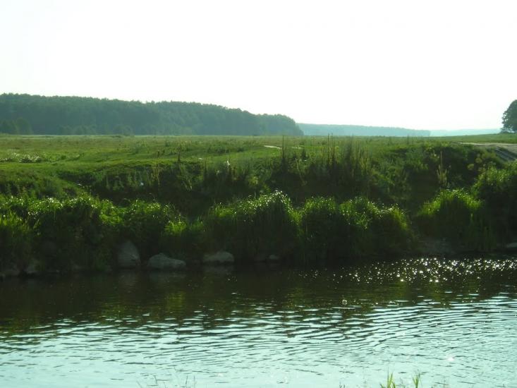 Чорногородка з panoramio.com - Чорногородка