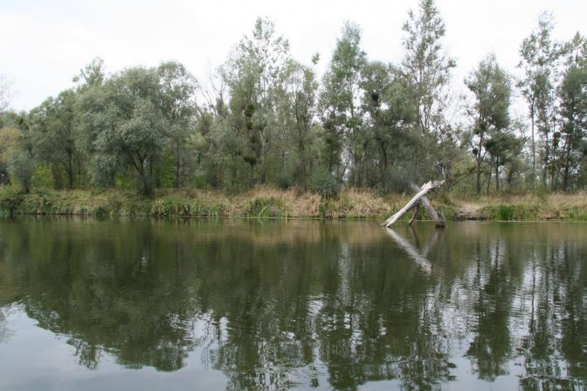 Яремівка з panoramio.com - Яремівка