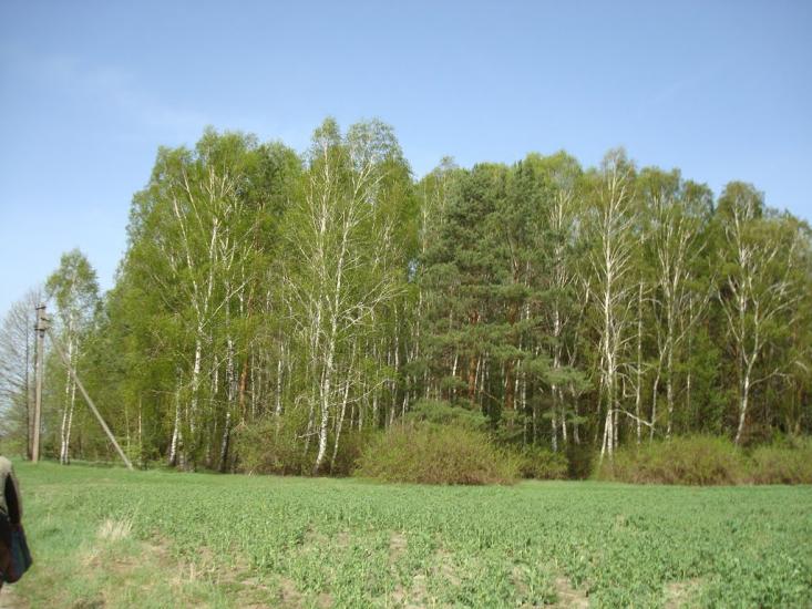 Вівчицьк з panoramio.com - Вовчицк