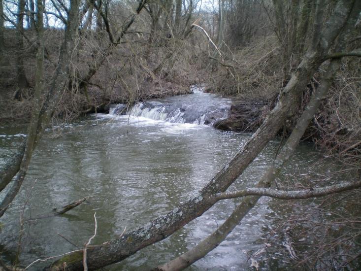 Осьмаки з panoramio.com - Osmaky