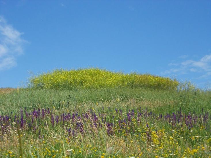 Великі Будища з panoramio.com - Великие Будища