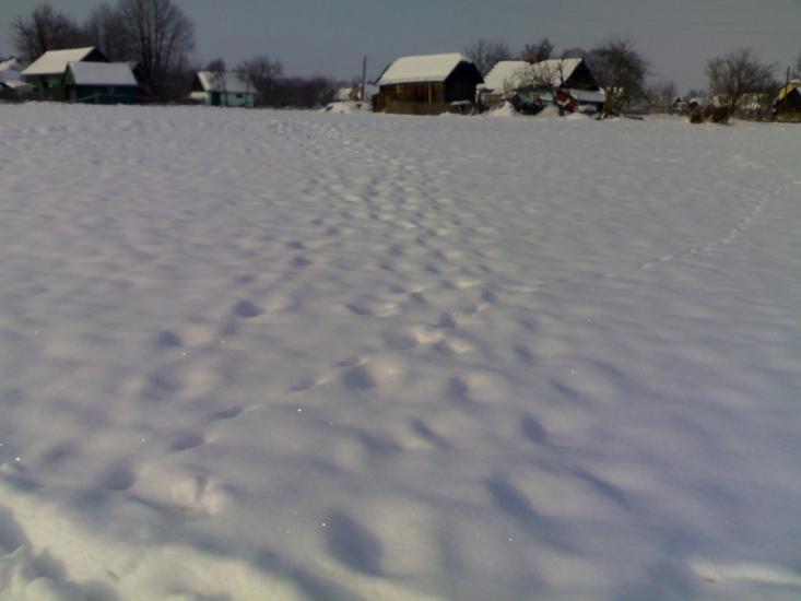 Берегомет з panoramio.com - Берегомет