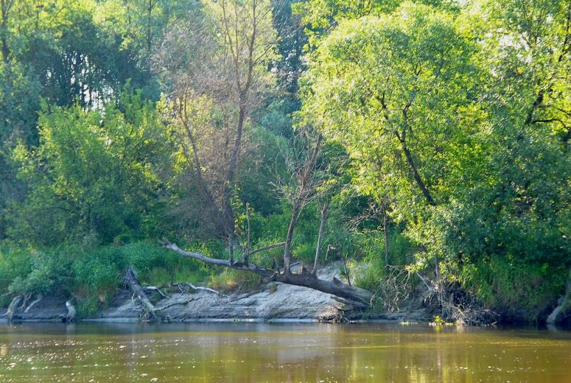 Адамчуки з panoramio.com - Адамчуки