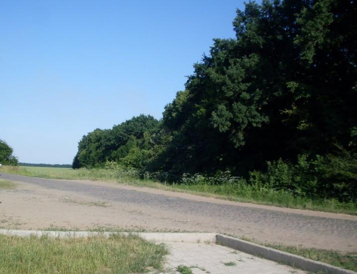 Степашки з panoramio.com - Степашки