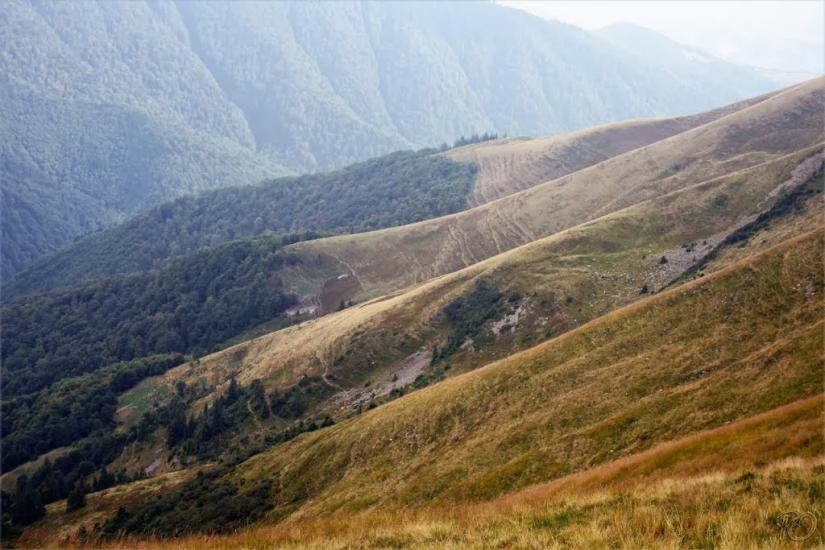 Заверхня Кичера з panoramio.com - Заверхняя Кичера