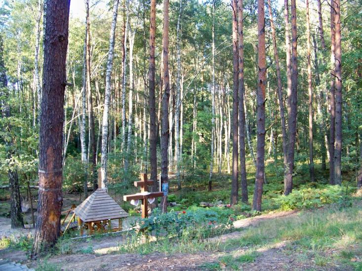 Кролевець з panoramio.com - Кролевец