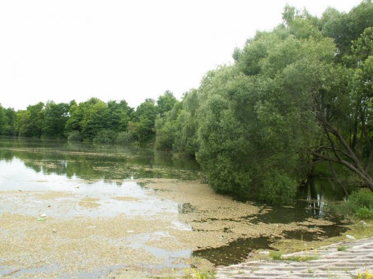 Овруч з panoramio.com - Овруч