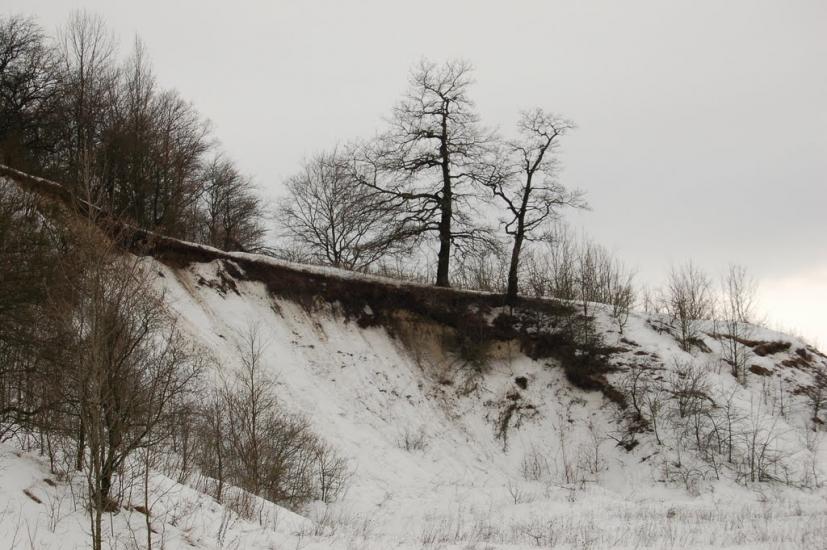 Огірцеве з panoramio.com - Огурцово