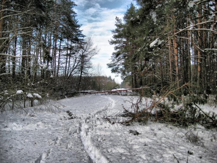 Масківці з panoramio.com - Масковцы