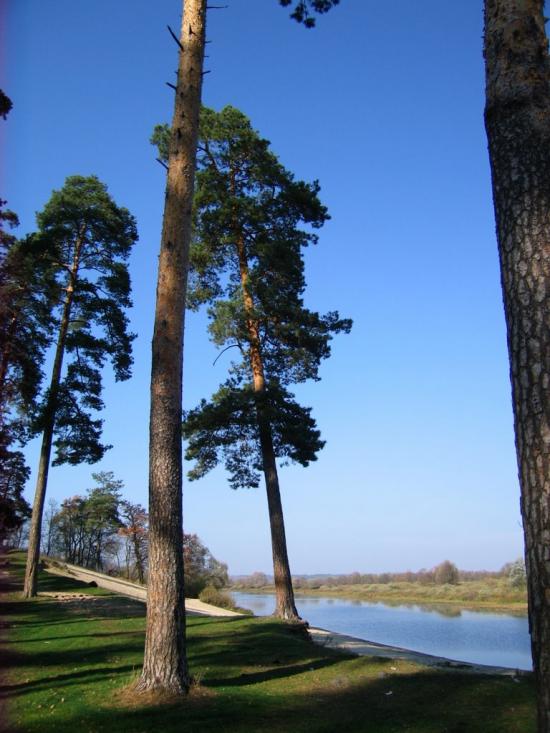 Горбове з panoramio.com - Горбовое