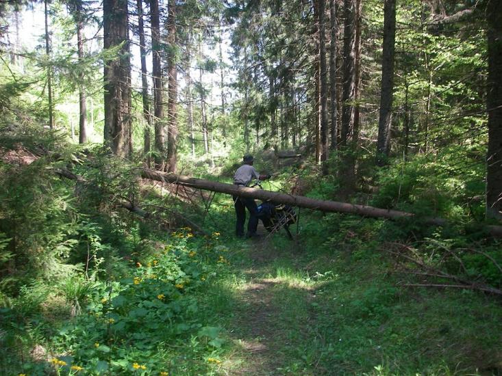 Лавочне з panoramio.com - Лавочное