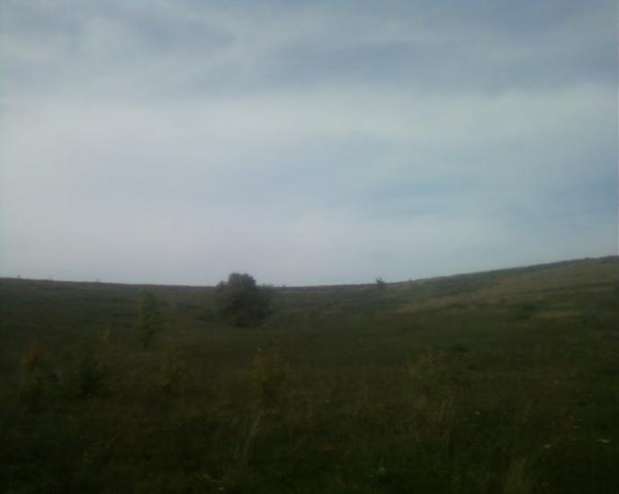 Синява з panoramio.com - Synyava