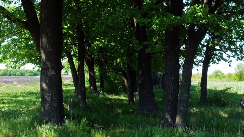Піски з panoramio.com - Пески