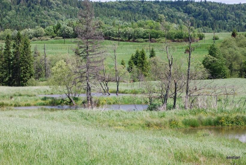 Біньова з panoramio.com - Бенева