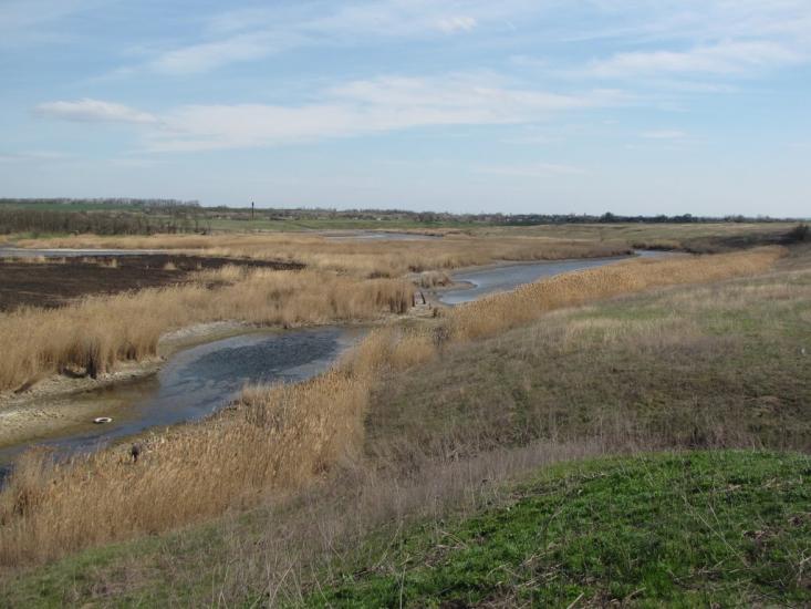 Розівка з panoramio.com - Розовка